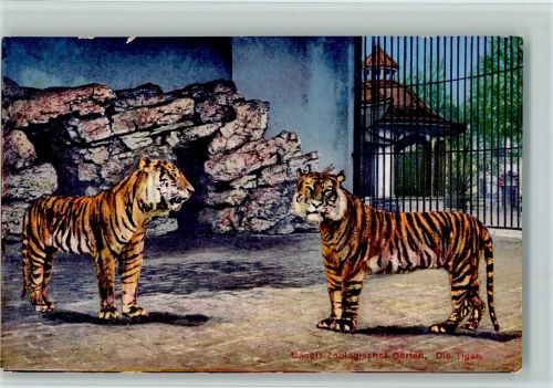 4000 Basel Bâle - Zoolog. Garten Die Tiger