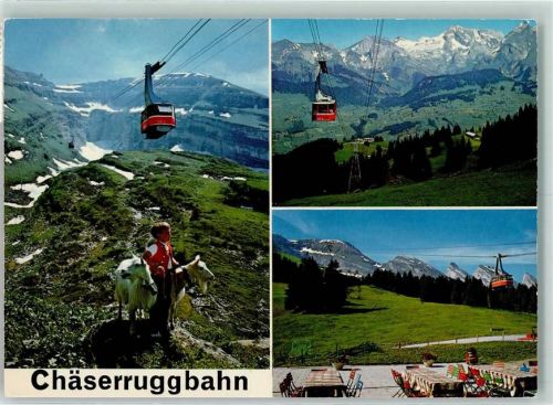 Chäserrugg - Chäserruggbahn Iltios-Chäserrugg Luftseilbahn mit Iltios Churfirsten Alpstein Ziegen