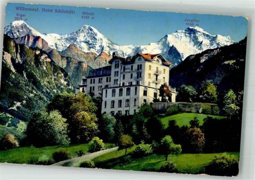 3812 Wilderswil 1918 Foto AK Hotel Schönbühl