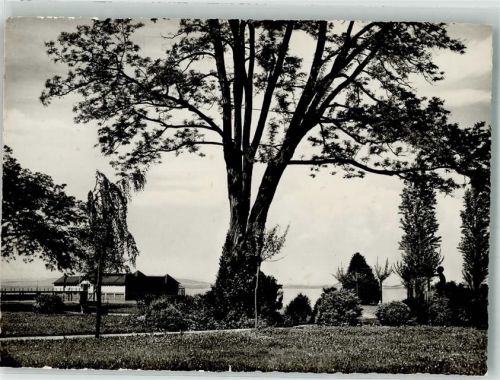 8590 Romanshorn 1968 Foto AK Schwimmbad Parkanlage