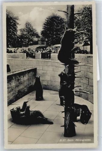 3000 Bern Berne - Bärengraben