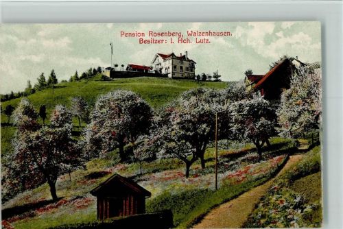 9428 Walzenhausen - Pension Rosenberg blühende Bäume