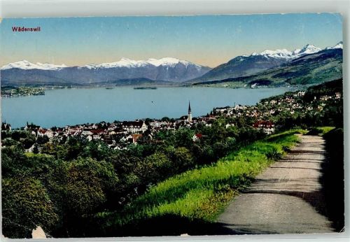 8820 Wädenswil Gebrauchsspuren Bahnpost Zug 505