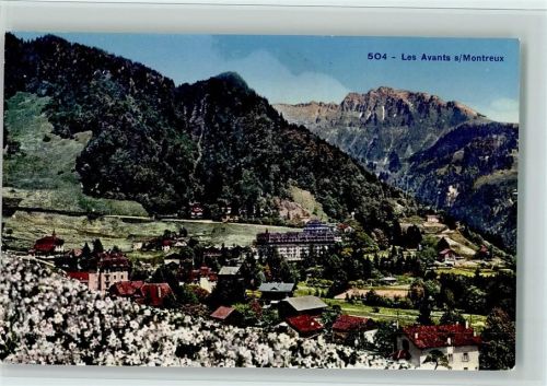 1833 Les Avants - Blühende Narzissen