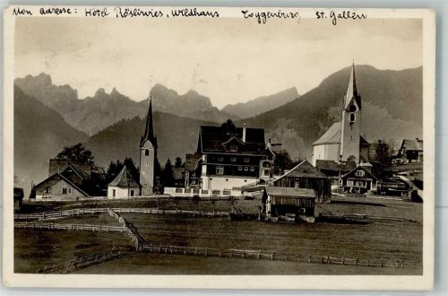 9658 Wildhaus 1925 Foto AK Kirche