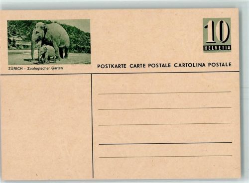 8000 Zürich - Zoologischer Garten Elefant mit Jungem