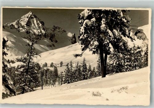 7500 St. Moritz Winter Piz Julier