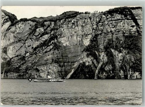 6452 Sisikon Foto AK Ausflugschiff Das Teufelssmünster Urnersee