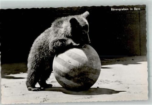 3000 Bern Berne Foto AK Bärengraben Bär mit Ball