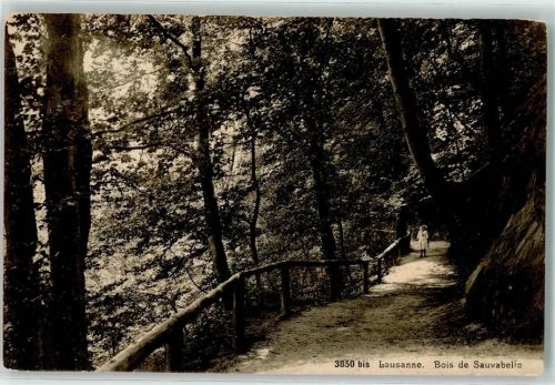 1000 Lausanne Losanna - Bois de Sauvabelin