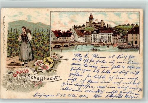 8200 Schaffhausen Sciaffusa 1902 Lithographie Im Weinberg Weinlese