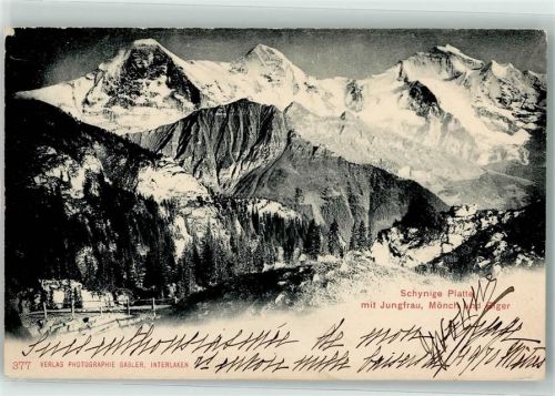 Schynige Platte 1901 - Jungfrau Mönch EIger