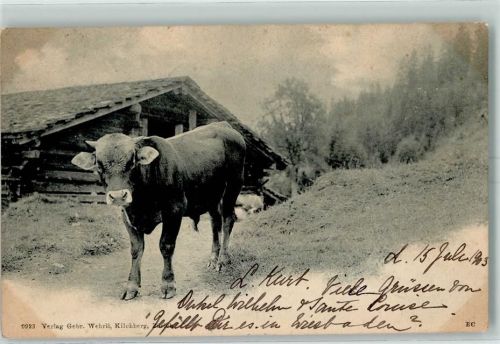 6390 Engelberg - 1903 Ochse
