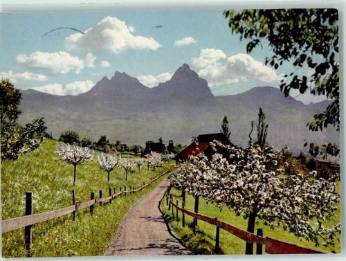 Grosser Mythen - Mythen Baumblüte