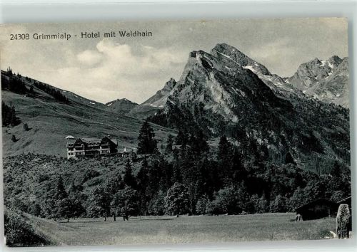 Grimmialp - Hotel Waldhain