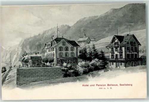 6377 Seelisberg - Hotel Pension Bellevue
