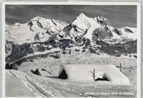 9658 Wildhaus Oberdorf SG - Säntis, Schafberg