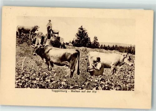 9658 Wildhaus 1911 - Melken auf der Alp Ort lt. Stempel