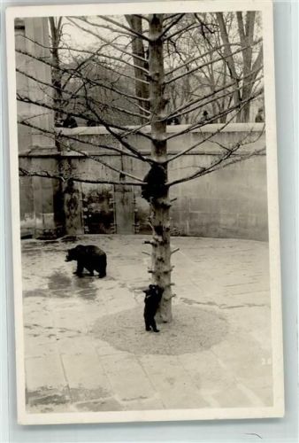 3000 Bern Berne - Eltern mit Jungbär