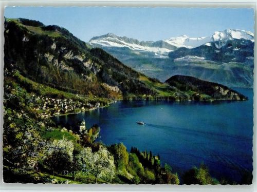 6354 Vitznau - Luftaufnahme