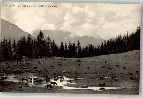 1978 Lens - Kuhherde