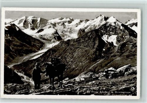 Schafberg - Oberer Schafberg mit Berninagruppe Bauer mit Maultier
