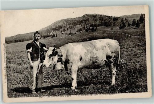 Gebrauchsspuren Senn mit Kuh