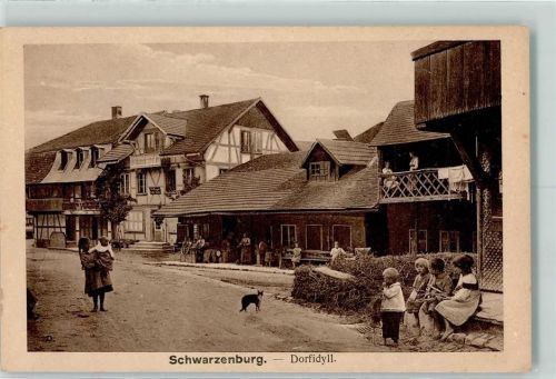 3150 Schwarzenburg - Dorfidyll KAtze