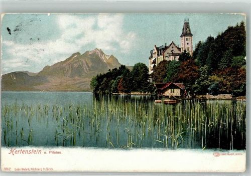 6353 Hertenstein 1918 Foto AK