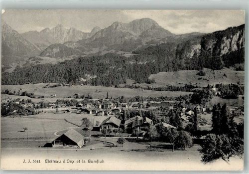1660 Château-d´Oex 1907 Foto AK