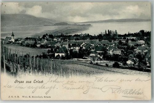 3235 Erlach 1906 Foto AK