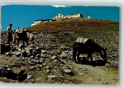 3818 Grindelwald - Berghotel Faulhorn Maultierpost First-Hotel Faulhorn