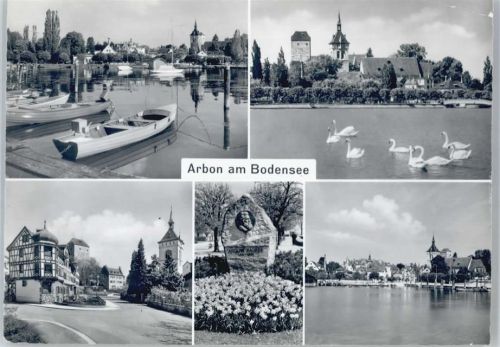 9320 Arbon - See, Boote, Kirche, Schwäne