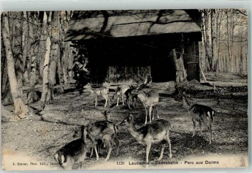 1000 Lausanne Losanna - Sauvabelin Parc aux Daims