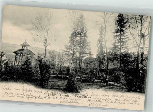 2900 Porrentruy Pruntrut 1902 Foto AK Botanischer Garten