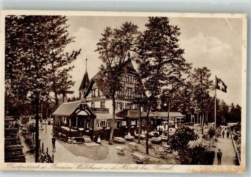 4000 Basel Bâle Foto AK Gasthaus Pension Waldhaus in der Hardt