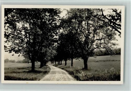 4148 Pfeffingen - Allee Werbung Henry Sutter Basel