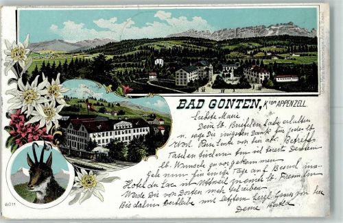 9050 Appenzell 1900 Lithographie Bad Gonten Gämse