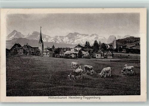 9633 Hemberg - Kühe