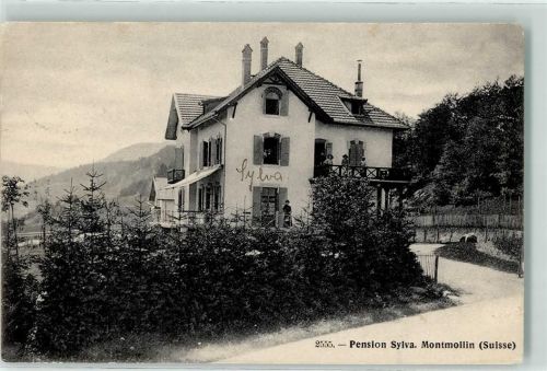2037 Montmollin 1912 - Pension Sylva