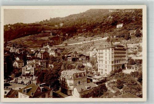 1820 Territet Foto AK