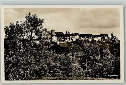 8158 Regensberg - Schloss