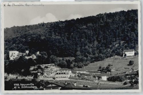 2520 La Neuveville - Schlossberg . Marke entfernt