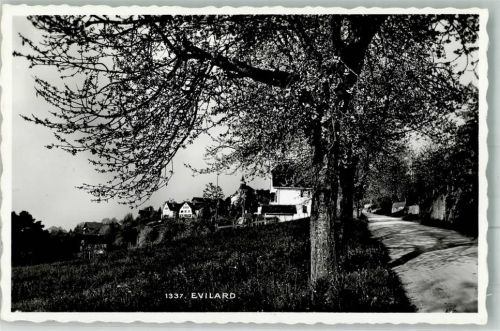 2533 Leubringen Evilard 1941 Foto AK Evilard