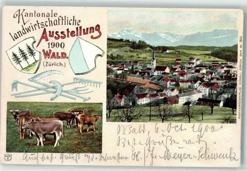 8636 Wald ZH 1900 Lithographie Kantonale landwirtschaftliche Ausstellung Kühe Verlag Künzli Zürich Dep. No. 5835