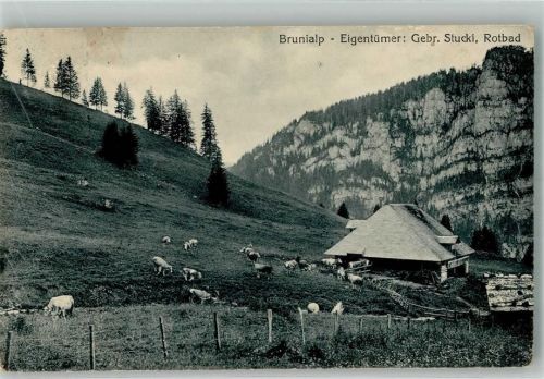 8849 Alpthal Foto AK Brunialp Pension Gasthaus