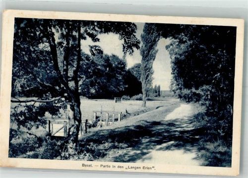 4000 Basel Bâle 1919 Foto AK Partie an den Langen Erlen