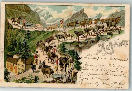 1903 Gebrauchsspuren Alpfahrt Verlag Künzli Nr. 1473 Lithographie