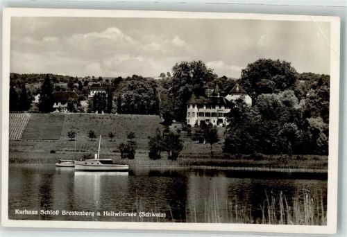 5705 Hallwil Foto AK Hotel Schloss Brestenberg See Foto Schmidli