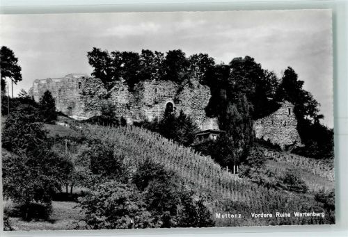 4132 Muttenz - Vordere Ruine Wartenberg